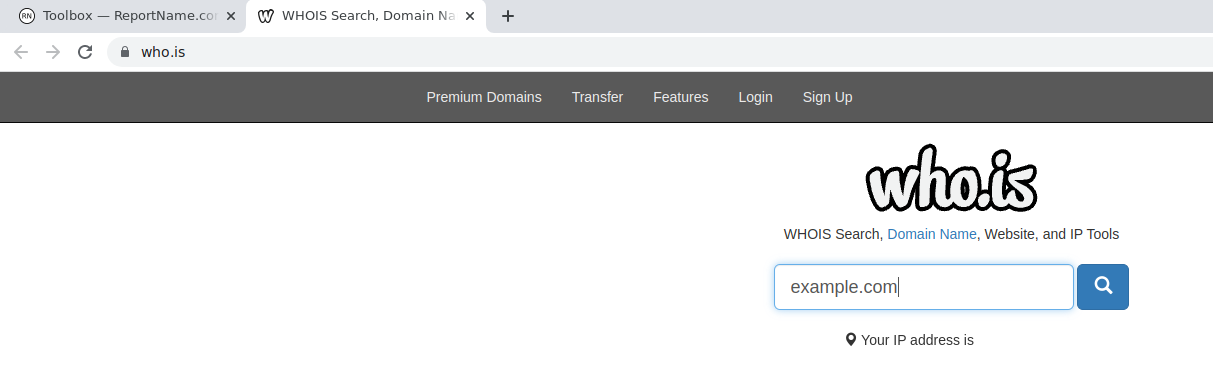 Enter information into Who.is tool (image)